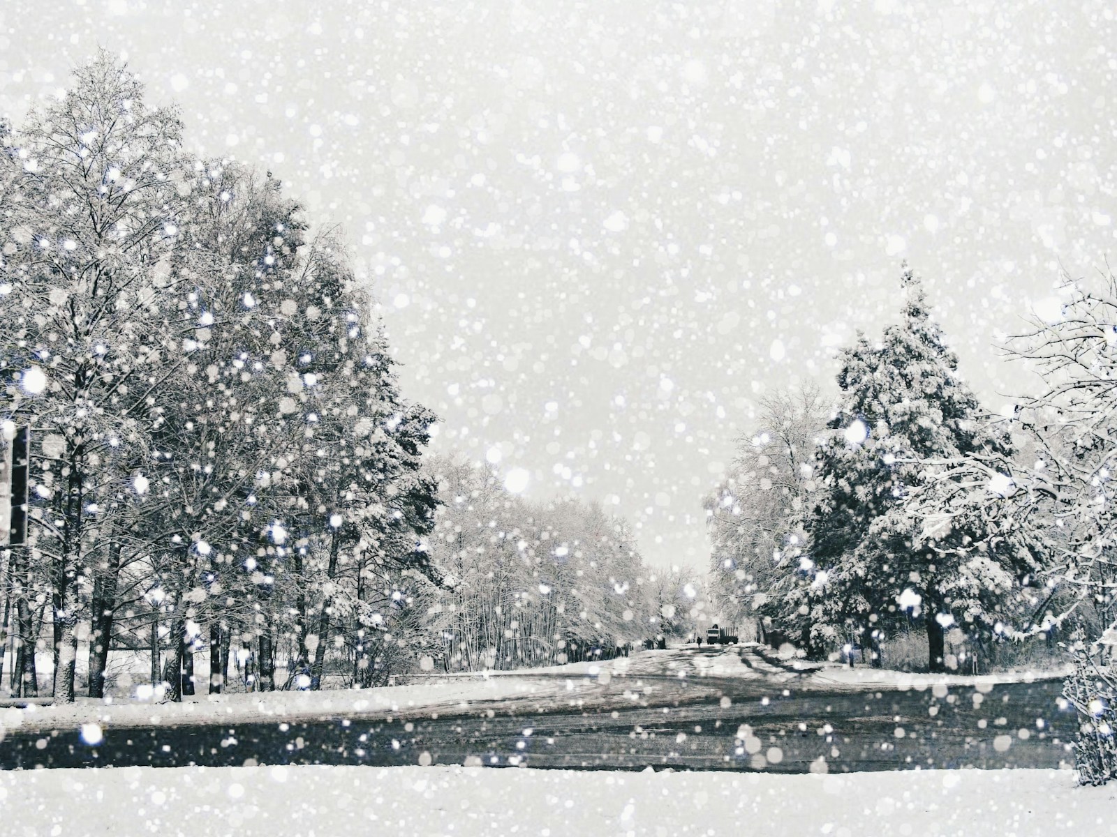 Snow falling on trees and a river.