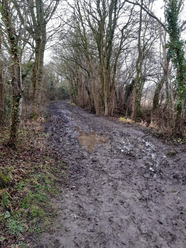 A muddy byeway