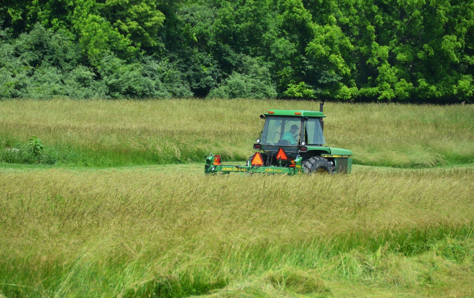 A tractor is mowing a field of tall grass.