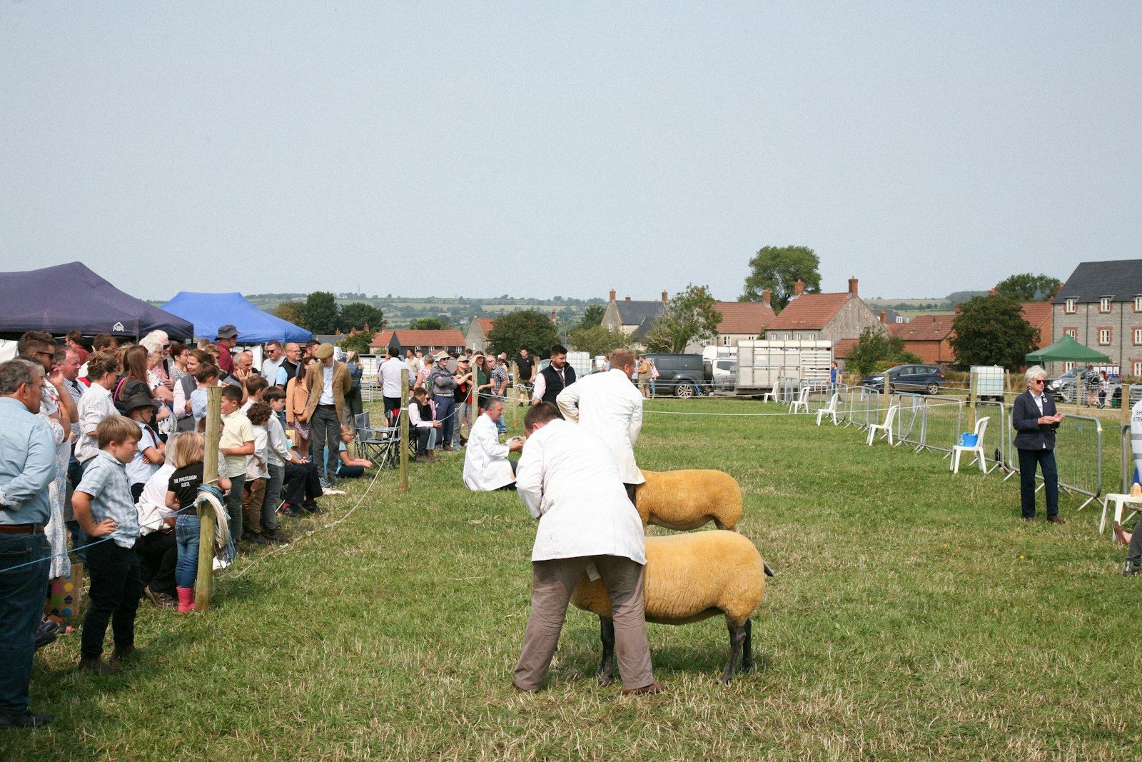 A large group of people standing in a field