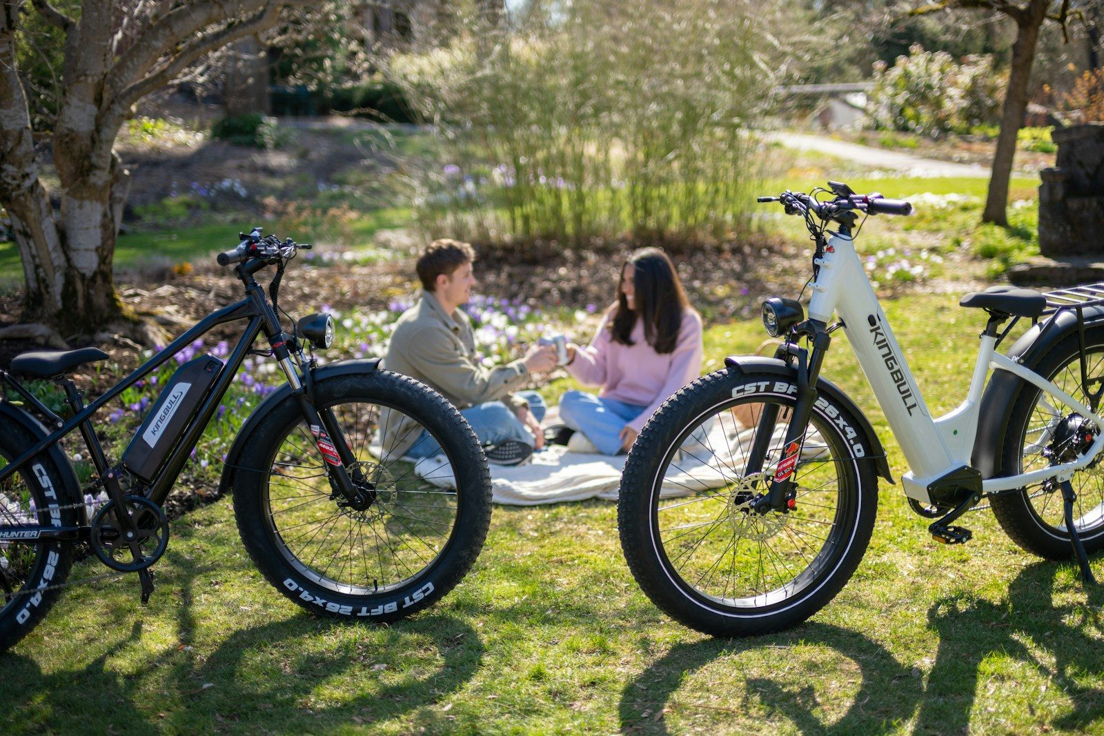 Couple enjoying a picnic with electric bikes
